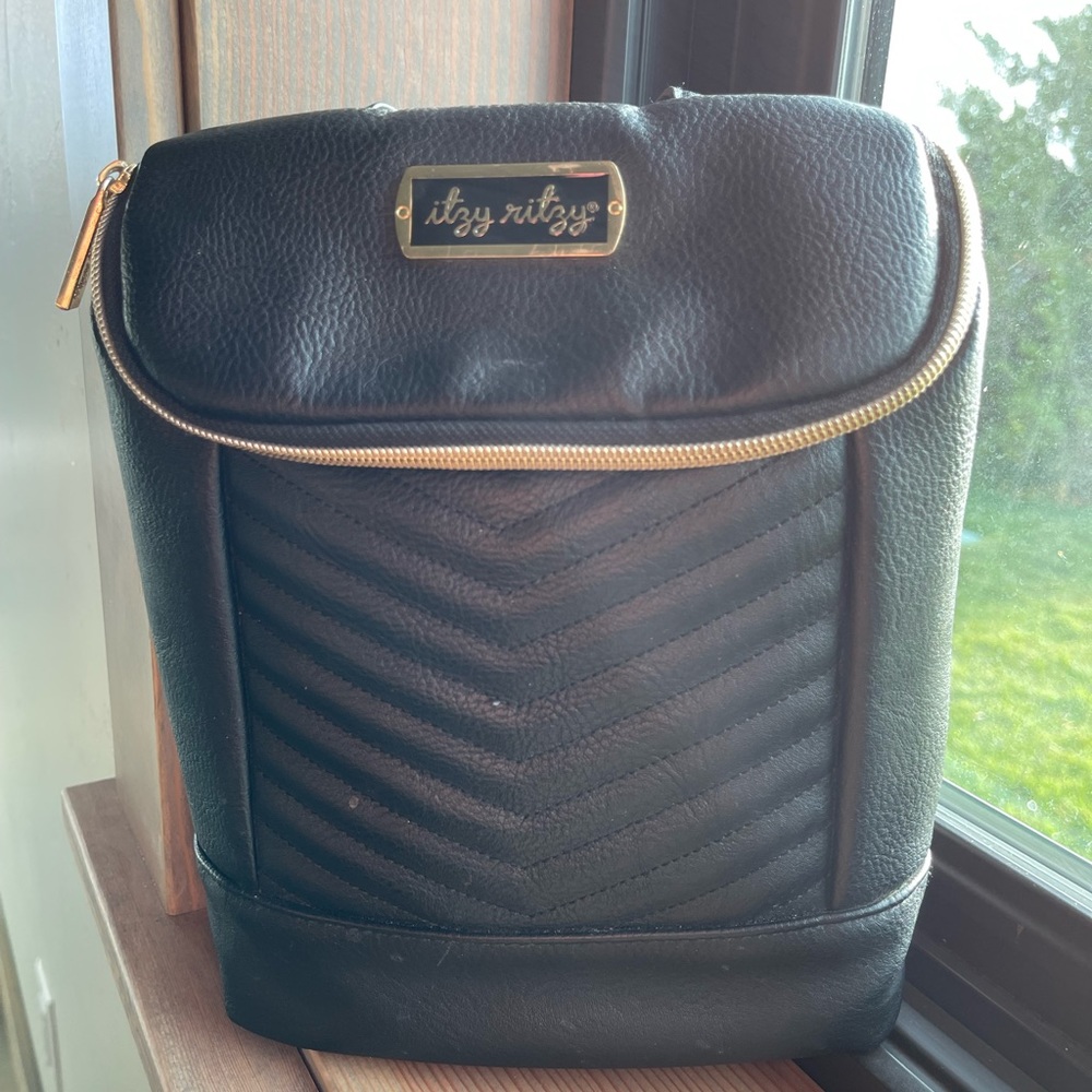 Itzy Ritzy bottle bag